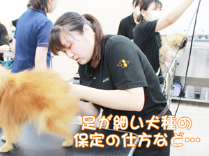 １年生、今日もがんばっています！